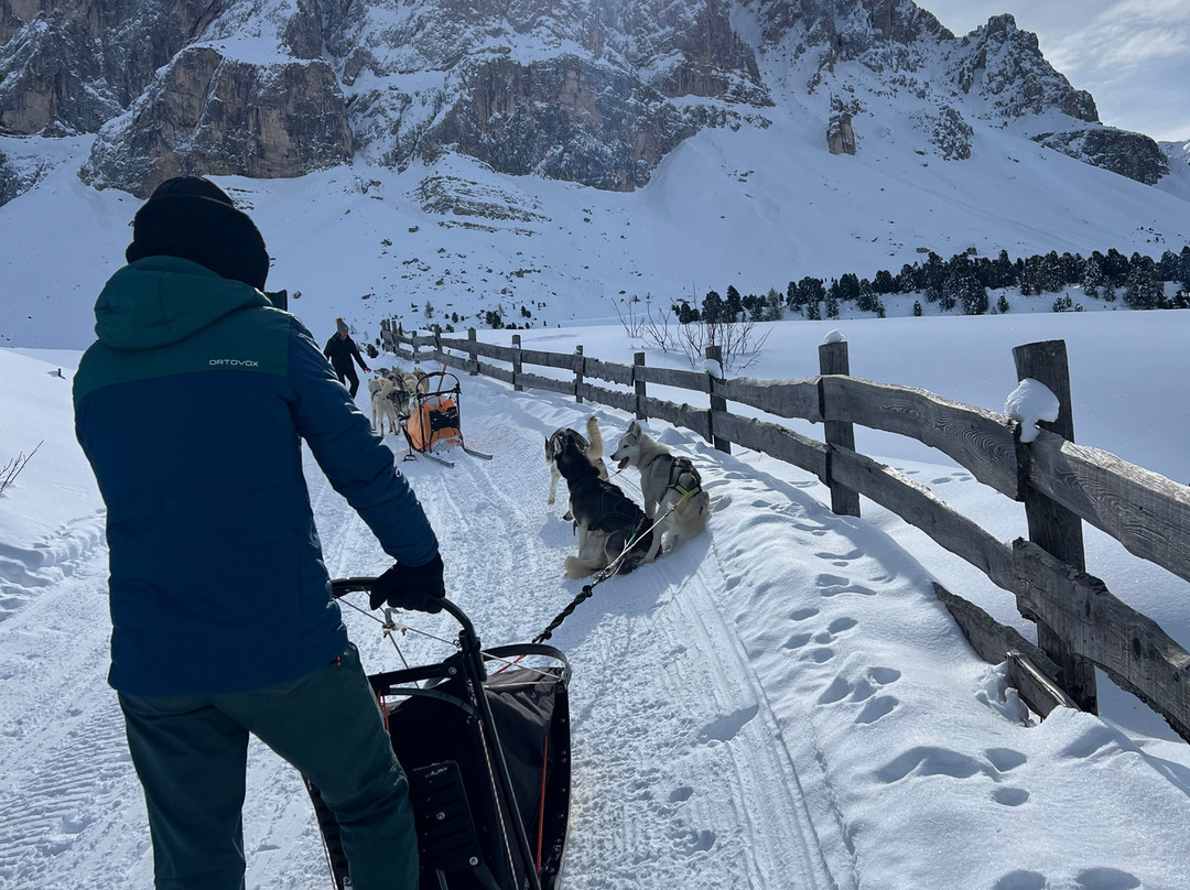 Huskysleddog-San Martino in Badia必去景点