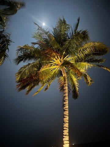 芙拉瓦丽岛度假酒店-浴室