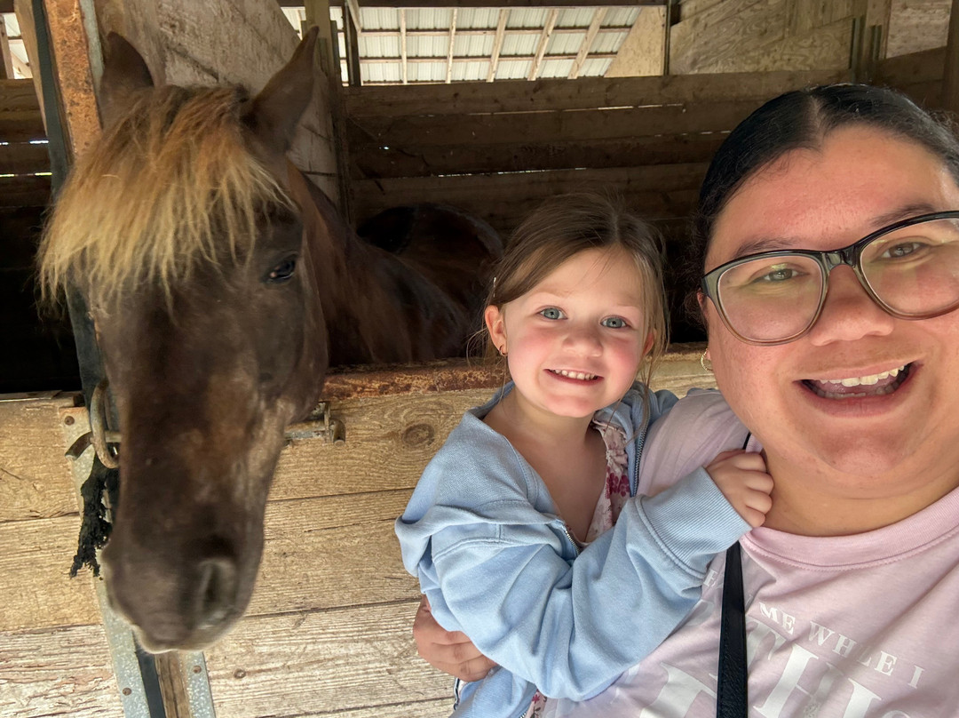 Redland Equestrian Center-霍姆斯特德必去景点