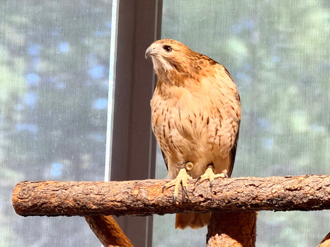 High Desert Museum-本德必去景点