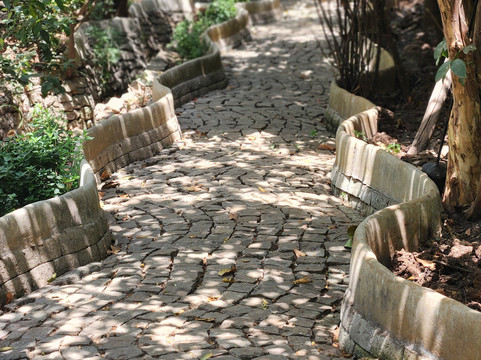 Zoma Museum-亚的斯亚贝巴必去景点