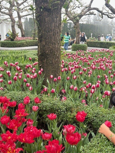 Viet Aurora Travel-河内必去景点