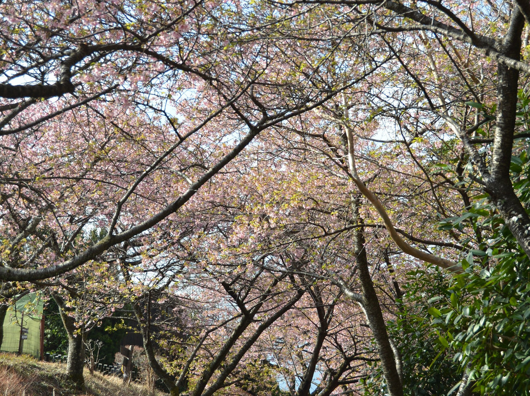 Nishihirahata Park-松田町必去景点