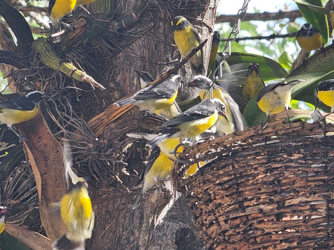 The Cadushy Distillery-Rincon必去景点