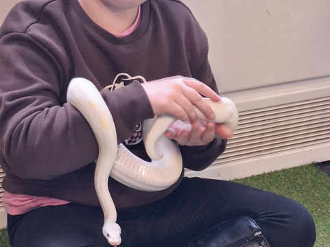 Milestone Ranch Country Park-唐克斯特必去景点