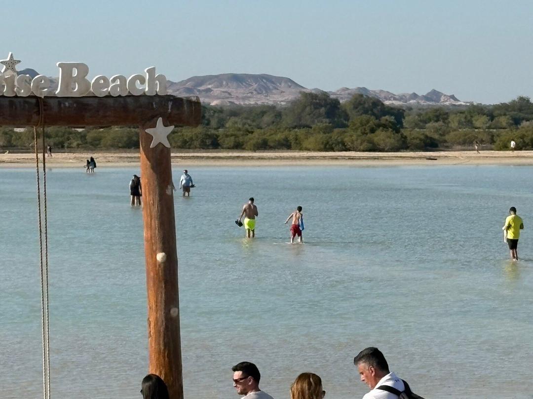 Sir Bani Yas Cruise Beach-萨巴尼亚岛必去景点