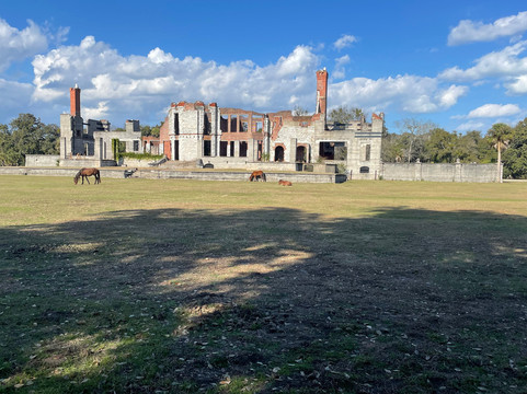 The Lands and Legacies Tour-Cumberland Island必去景点