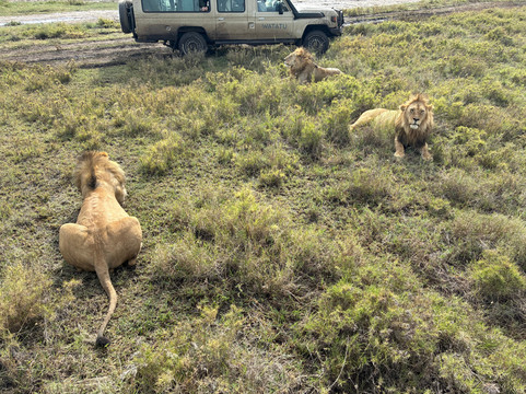 Watatu Travel-阿鲁沙必去景点
