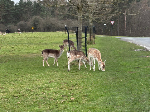 Ireland Chauffeur Travel-卡舍尔必去景点