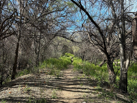 Patagonia Lake State Park-Patagonia必去景点
