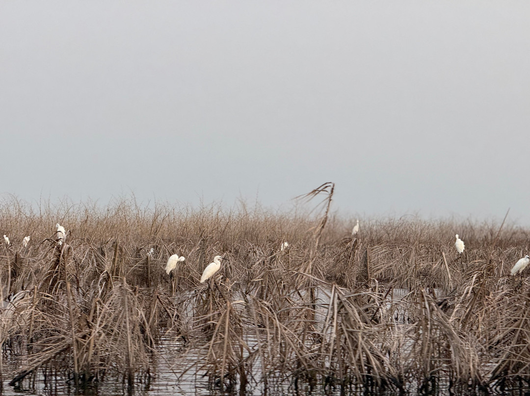 Visit Ganvié Tourism-Ganvie必去景点