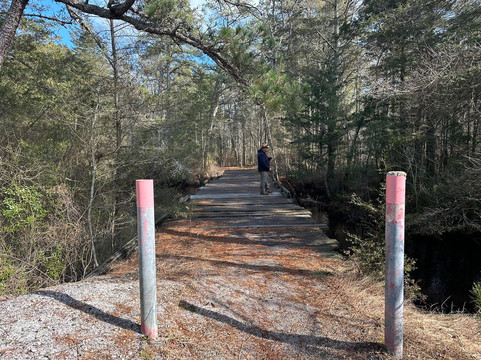 Wharton State Forest-Batsto必去景点