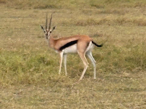 Aventure Safaris-蒙巴萨必去景点