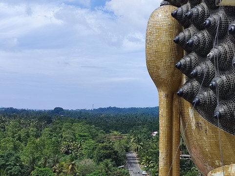 Tours Lanka with Manoj-尼甘布必去景点