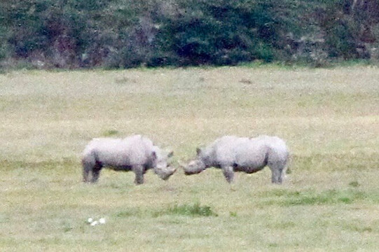 FB Tanzania Expeditions-阿鲁沙必去景点