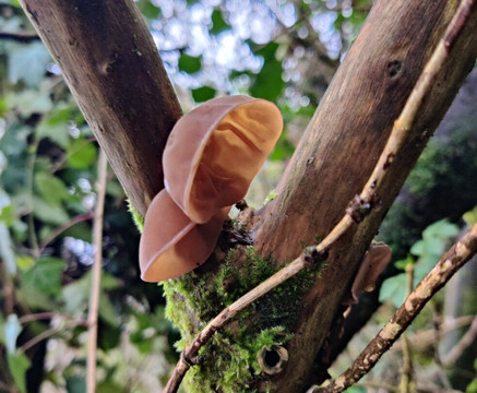 Welsh Wildlife Centre-Cardigan必去景点