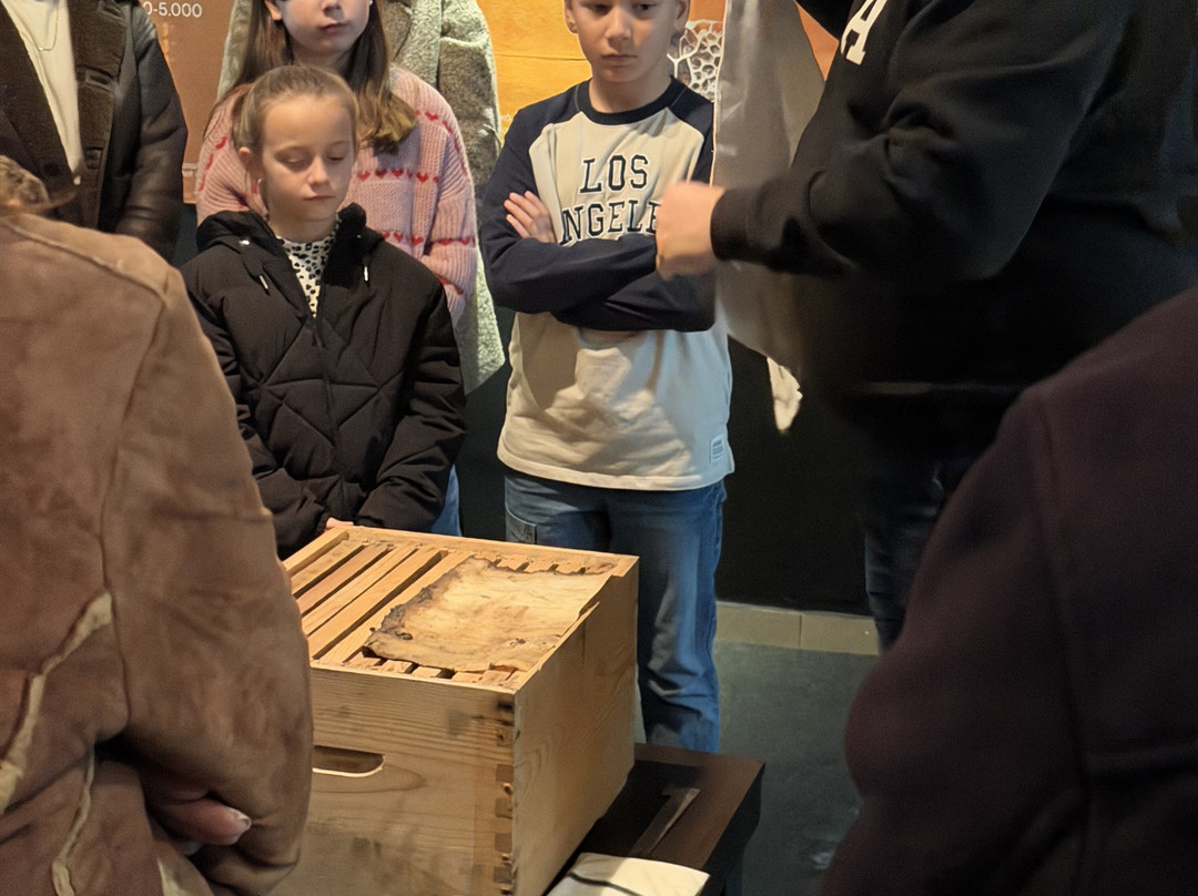 Bee Museum-诺帕克特斯必去景点