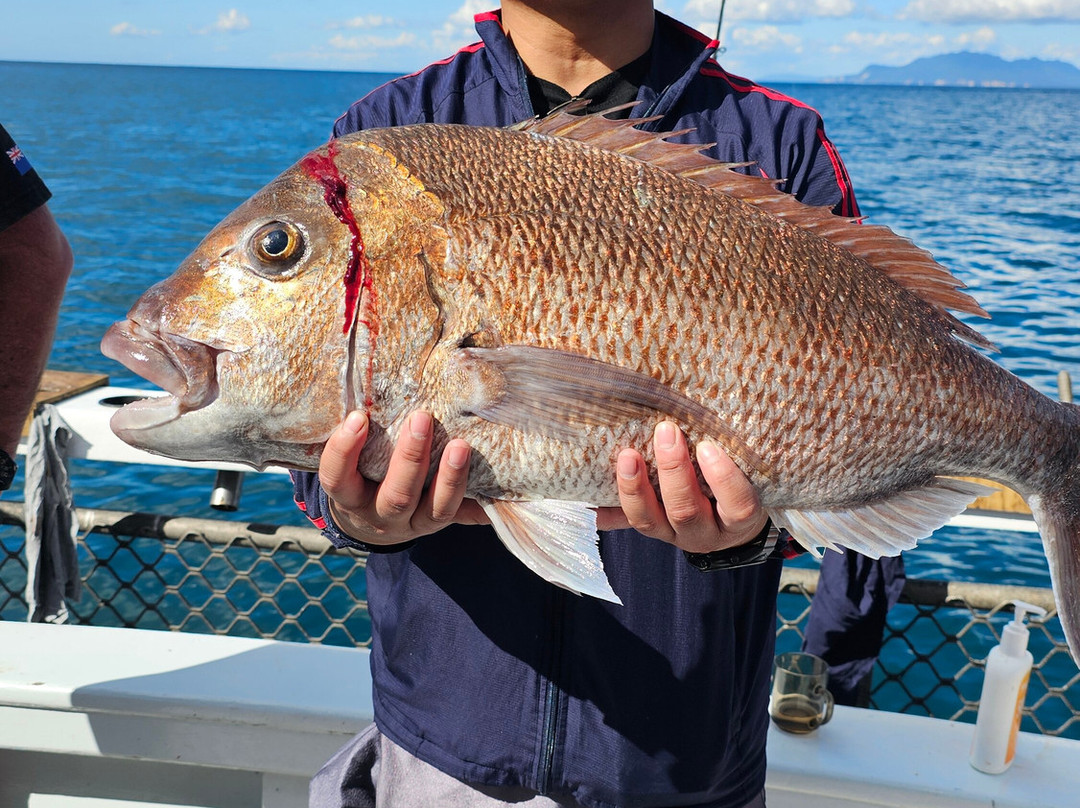 Bounty Hunter Charters-Leigh必去景点