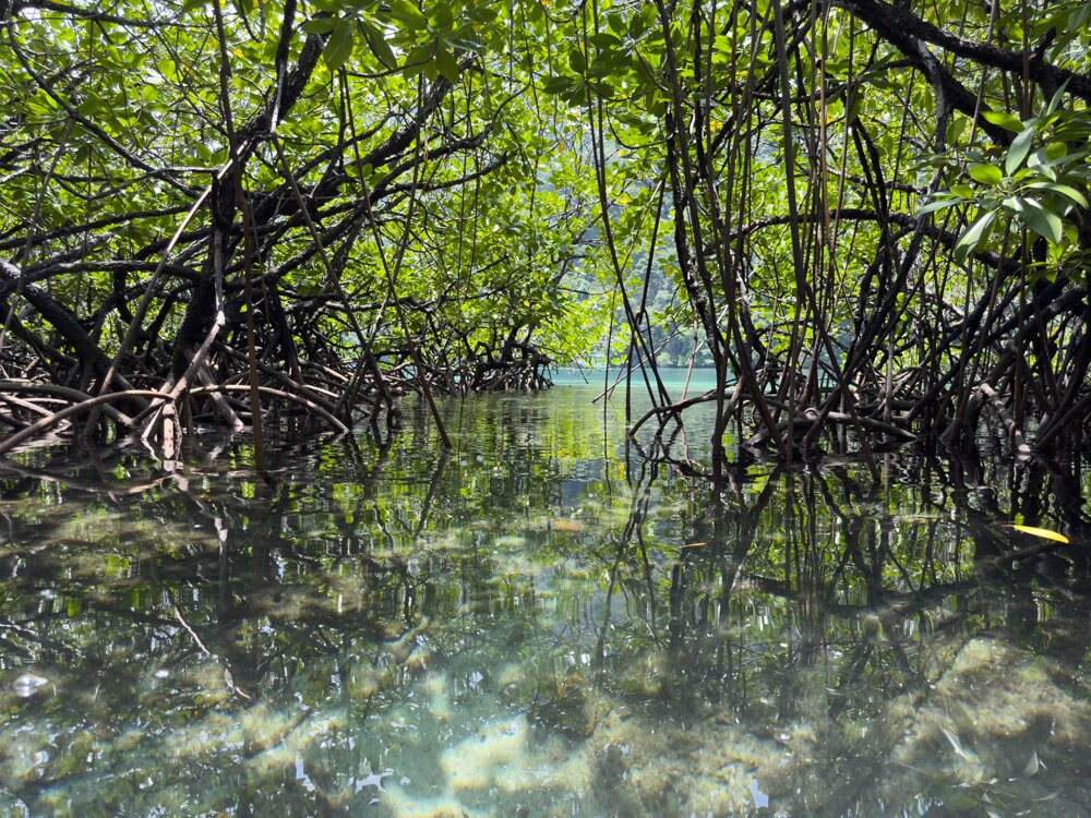 Sulawesi Eco Adventure-Baubau必去景点