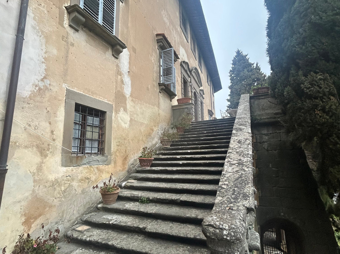 蒙地古弗尼城堡主图