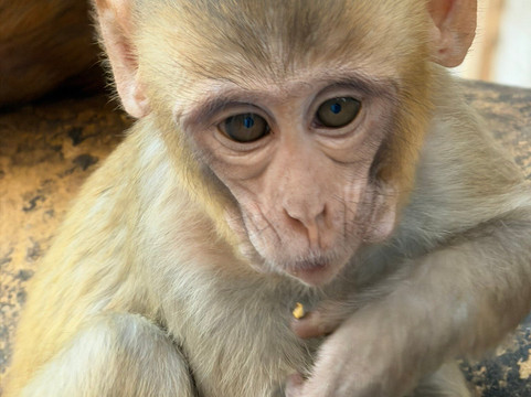 Le Tour De India-斋蒲尔必去景点