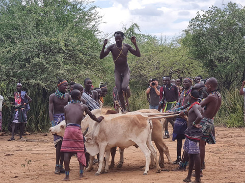 King Solomon Tours-Jinka必去景点