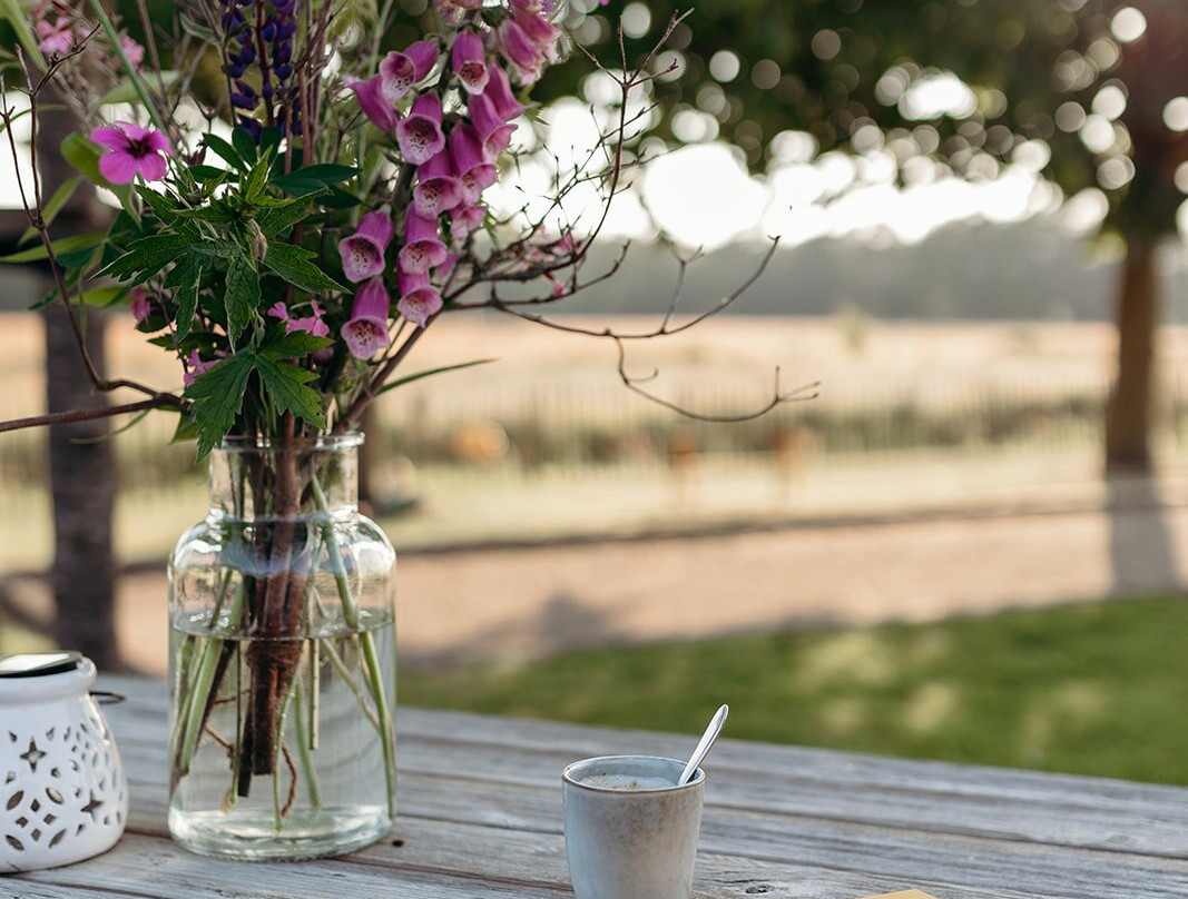 Oranje Hoeve Bed & Breakfast主图