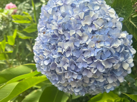 Rainforest Reef Escape-Cabo Matapalo必去景点