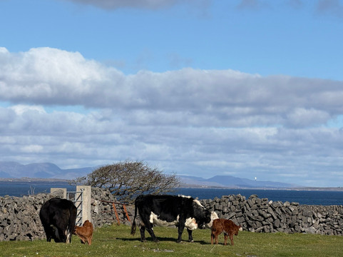 Aran Bike Hire-Inishmore必去景点