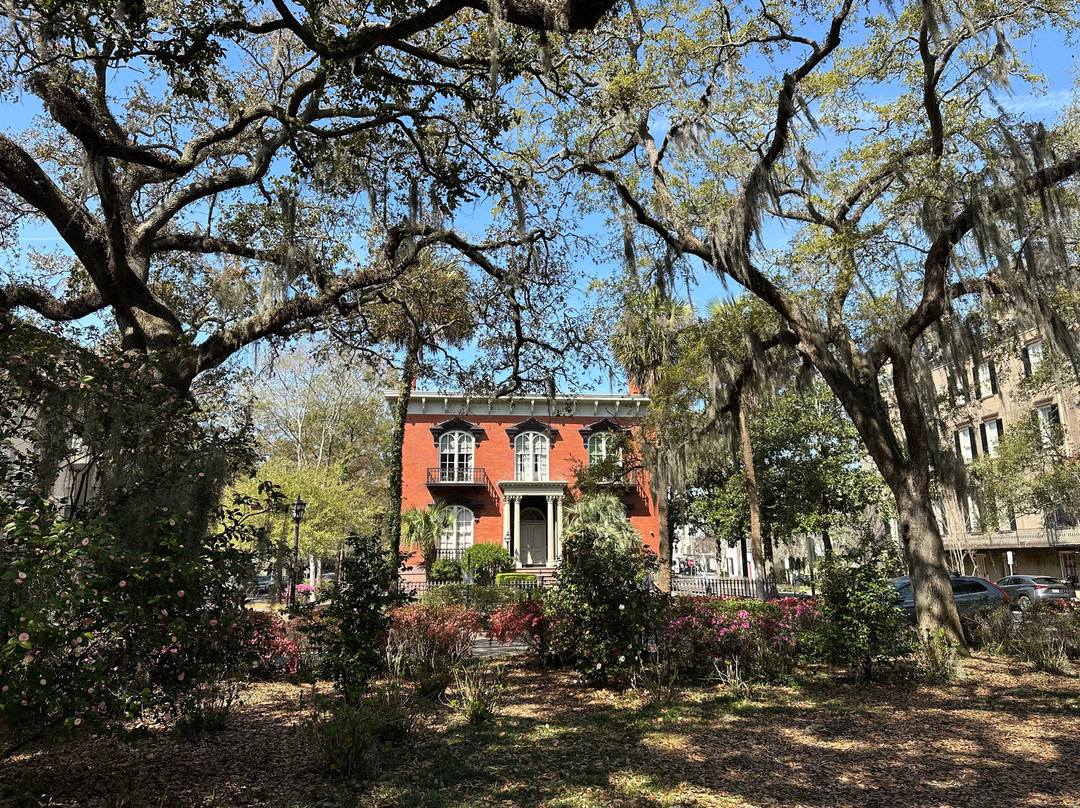 Free Savannah Tours-萨凡纳必去景点