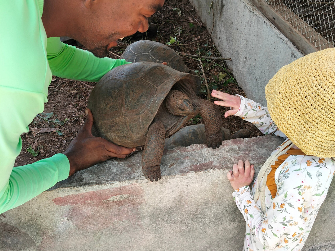 Geoli Charters-Anse la Blague必去景点