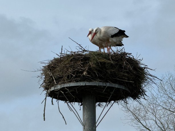 圣波尔旅馆-官方