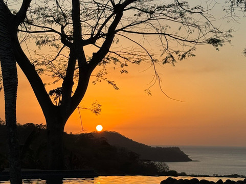 Rocket Frog Divers-Playas del Coco必去景点