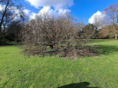 Wentworth Woodhouse-罗瑟勒姆必去景点
