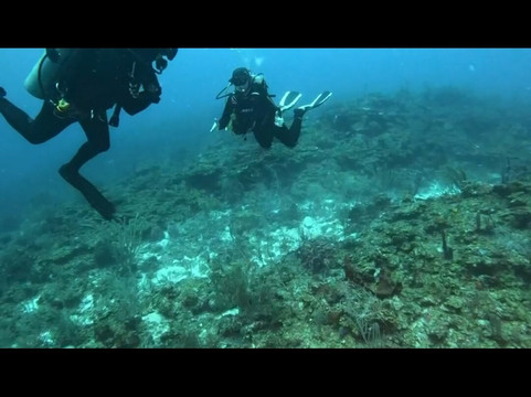 Xpu Ha Divers-Xpu-Ha必去景点