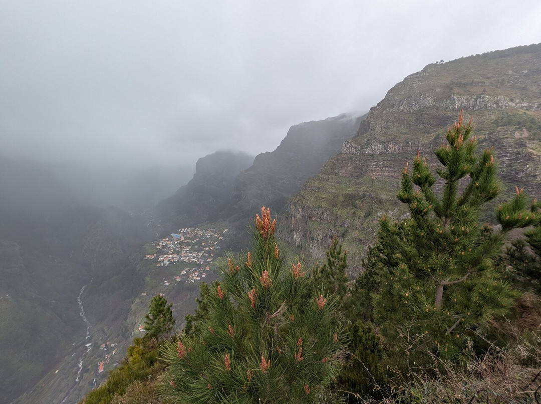 Miradouro Eira do Serrado-Camara De Lobos必去景点