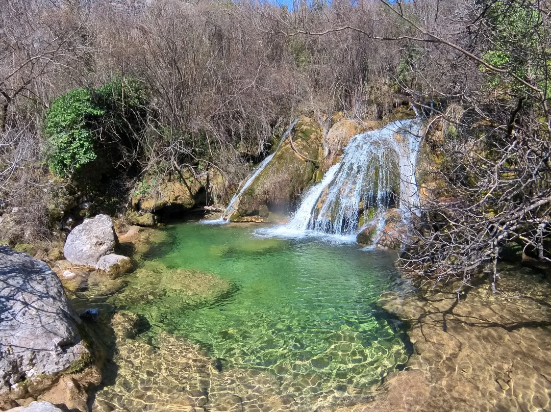 Skadar Lake - Boat Cruise Milena-维尔巴札拉必去景点