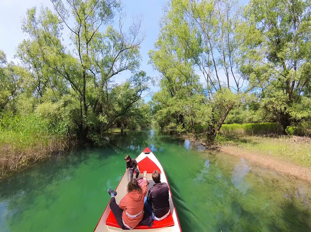 Skadar Lake - Boat Cruise Milena-维尔巴札拉必去景点