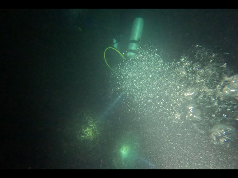 Solitude Lembeh Resort主图