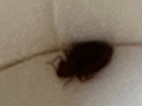 杰斐逊城凯艺套房酒店主图