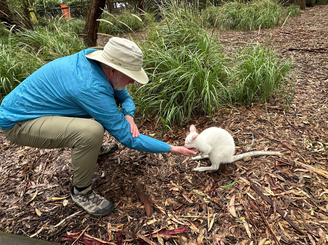 大洋路野生动物公园-Princetown必去景点