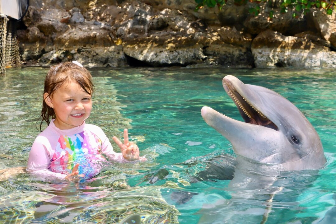 Dolphin Academy Curacao-威廉斯塔德必去景点