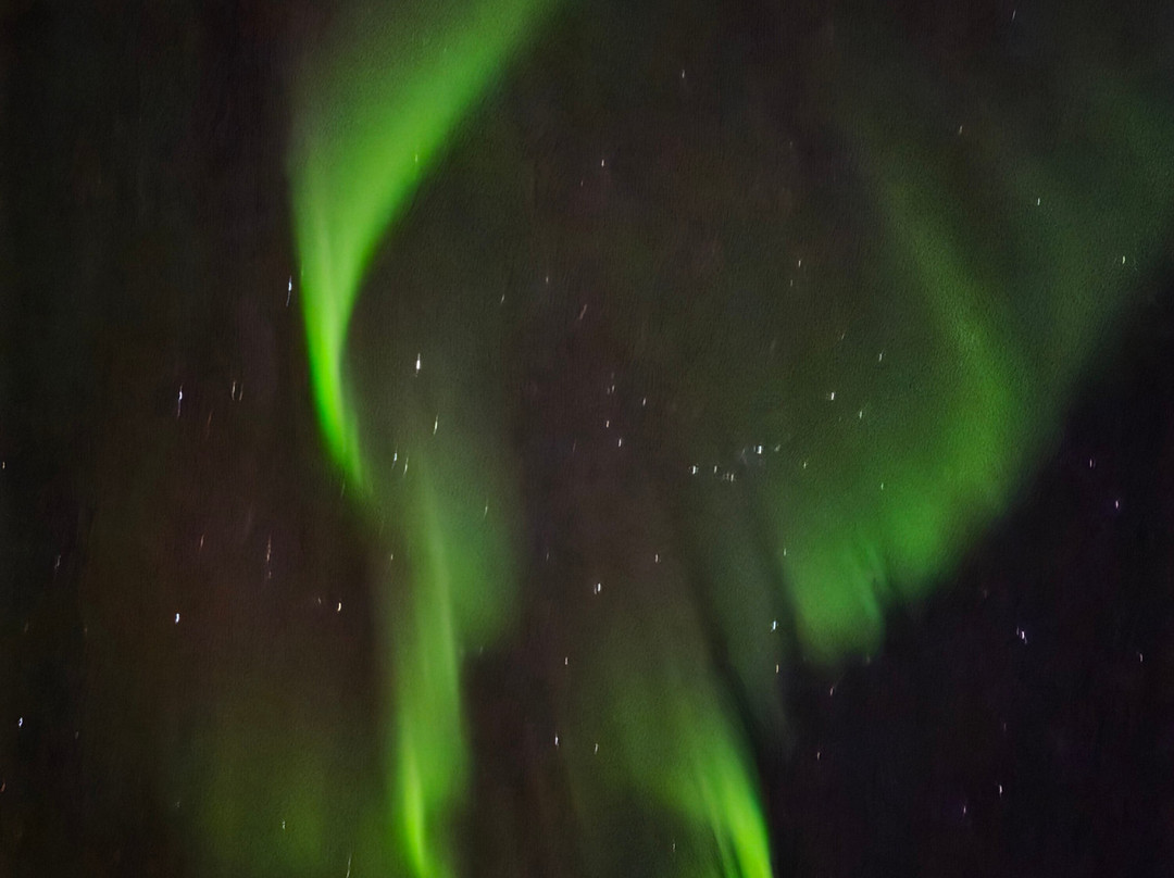 Aurora Sea Lodges