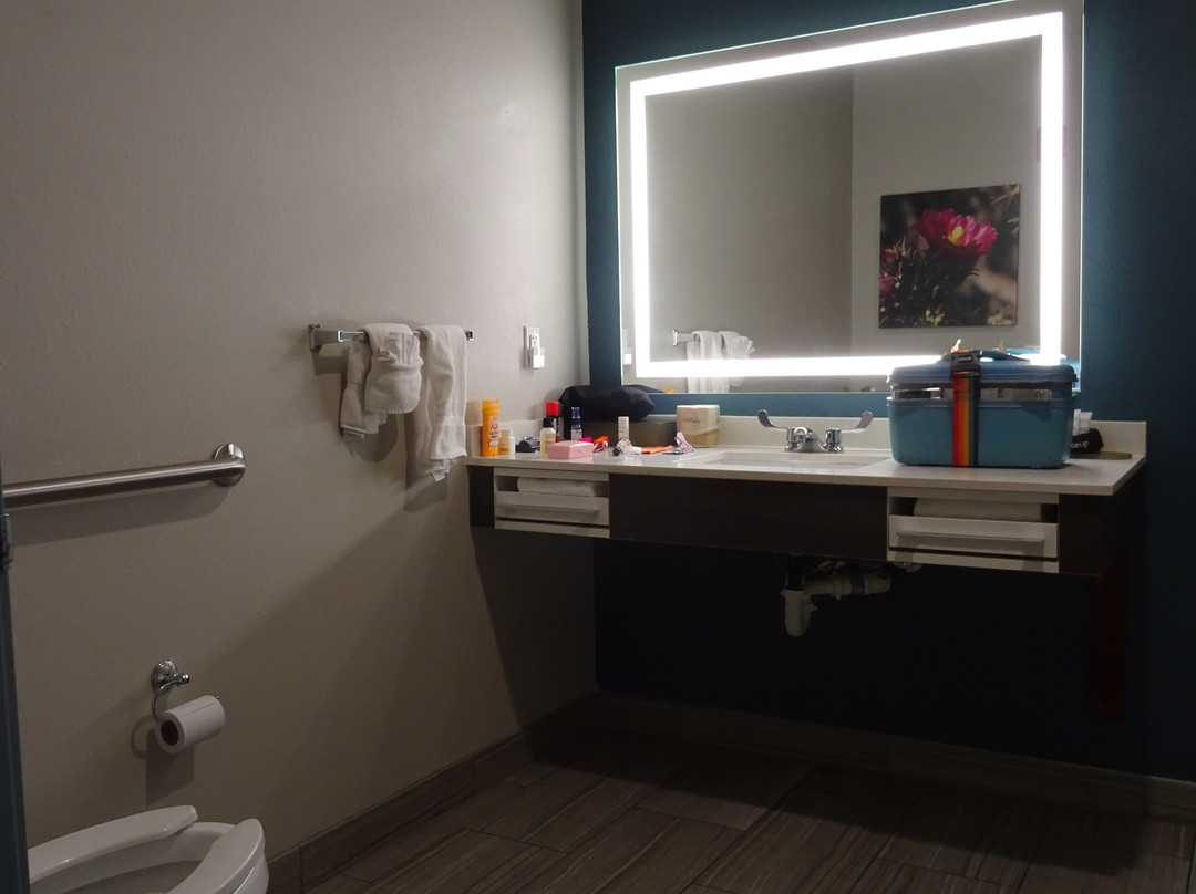 霍尔布鲁克石化森林拉昆塔温德姆酒店及套房主图