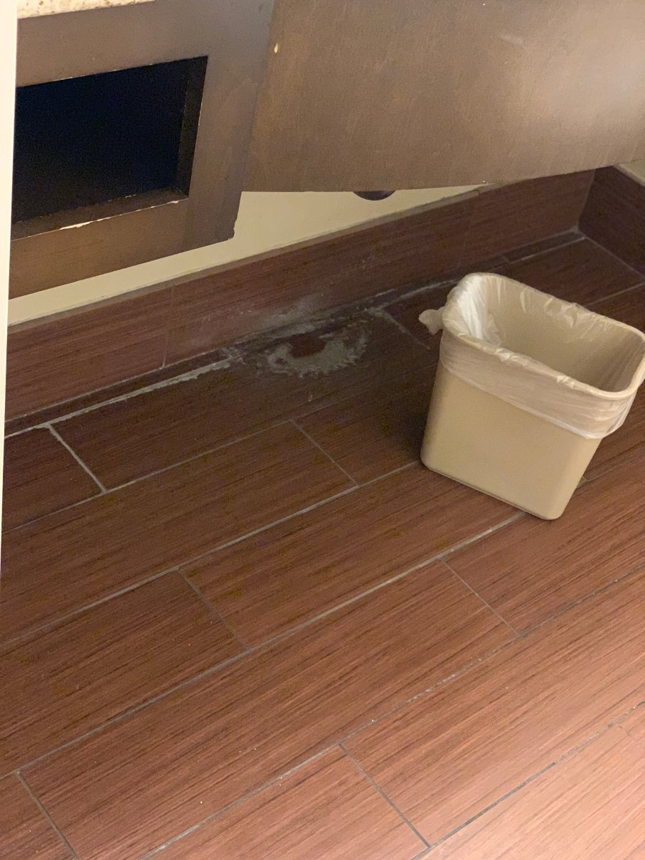 坦帕北希尔顿花园酒店-portrait