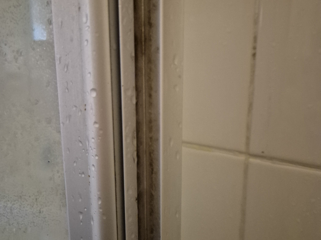 紫丁香住宿加早餐旅馆主图