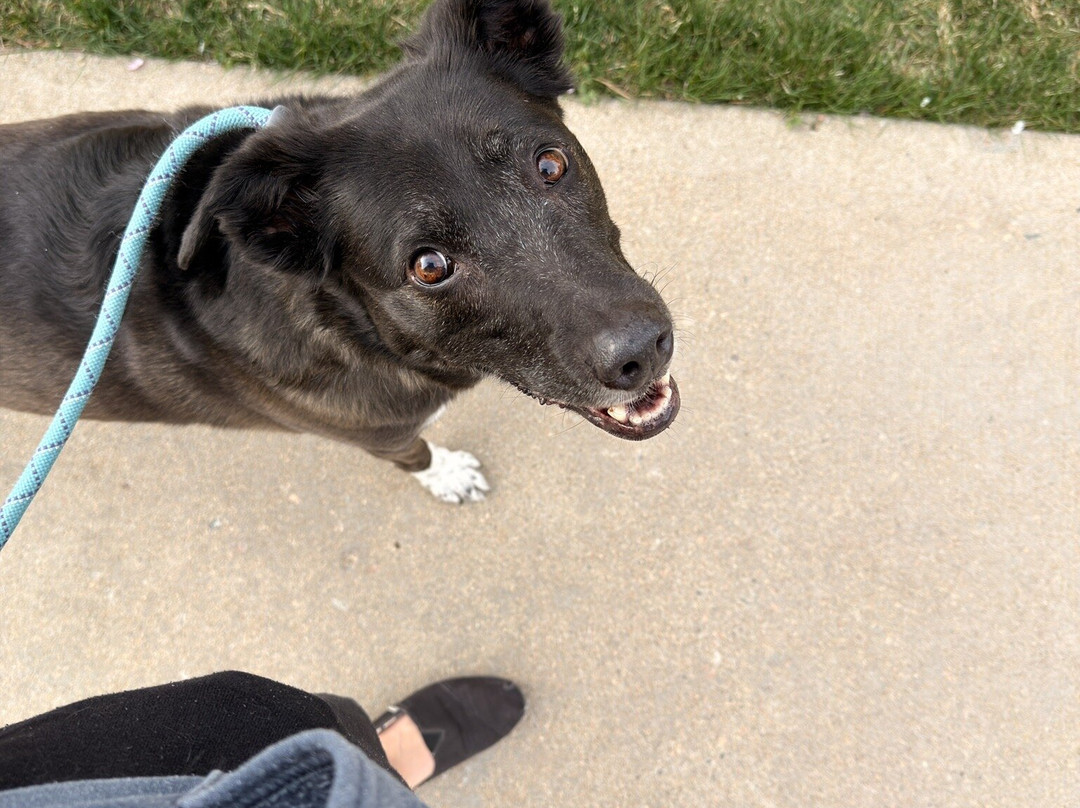 Tollgate Park-奥罗拉必去景点