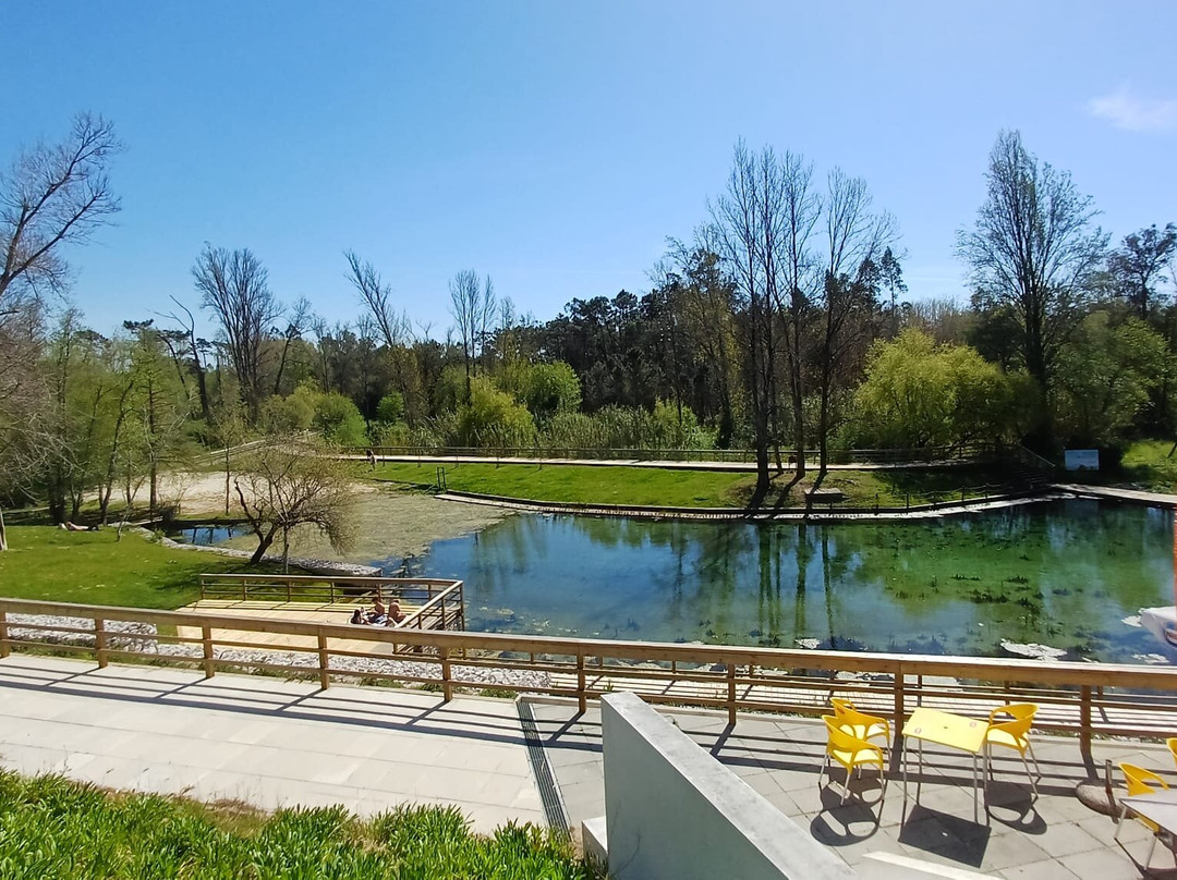 Praia Fluvial Dos Olhos Da Fervença-Cantanhede必去景点