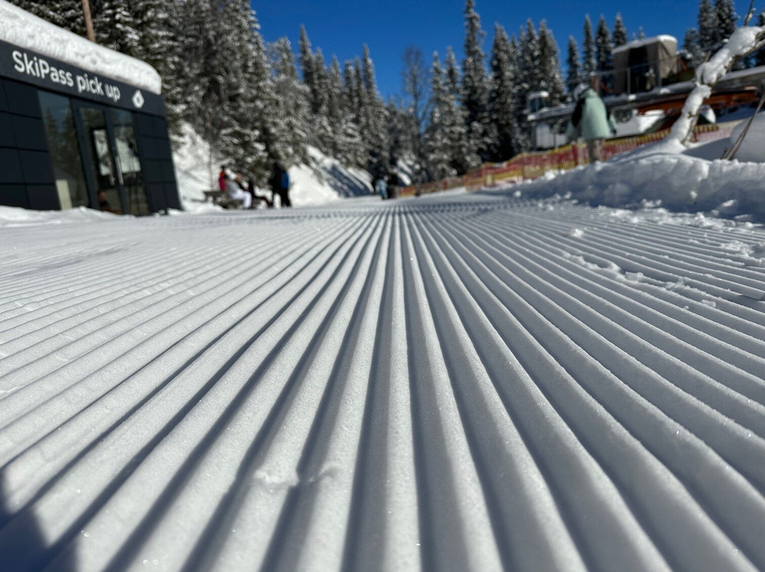 特吕西尔山岭丽笙度假村及公寓