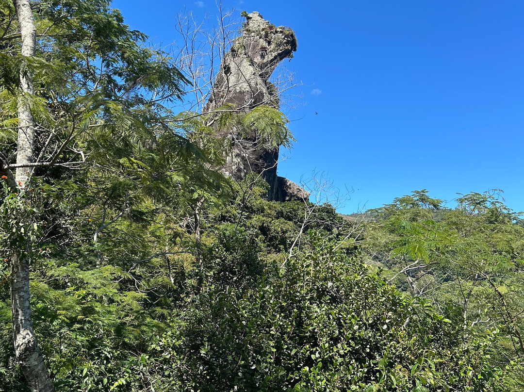 Parque Cão Sentado-Nova Friburgo必去景点